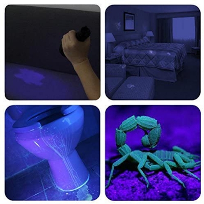 Vansky UV Flashlight Black Light,12 LED Ultraviolet Detector For Dog/Cat/Pet Urine & Dry Stains Detection On Carpets/Rugs/Floor